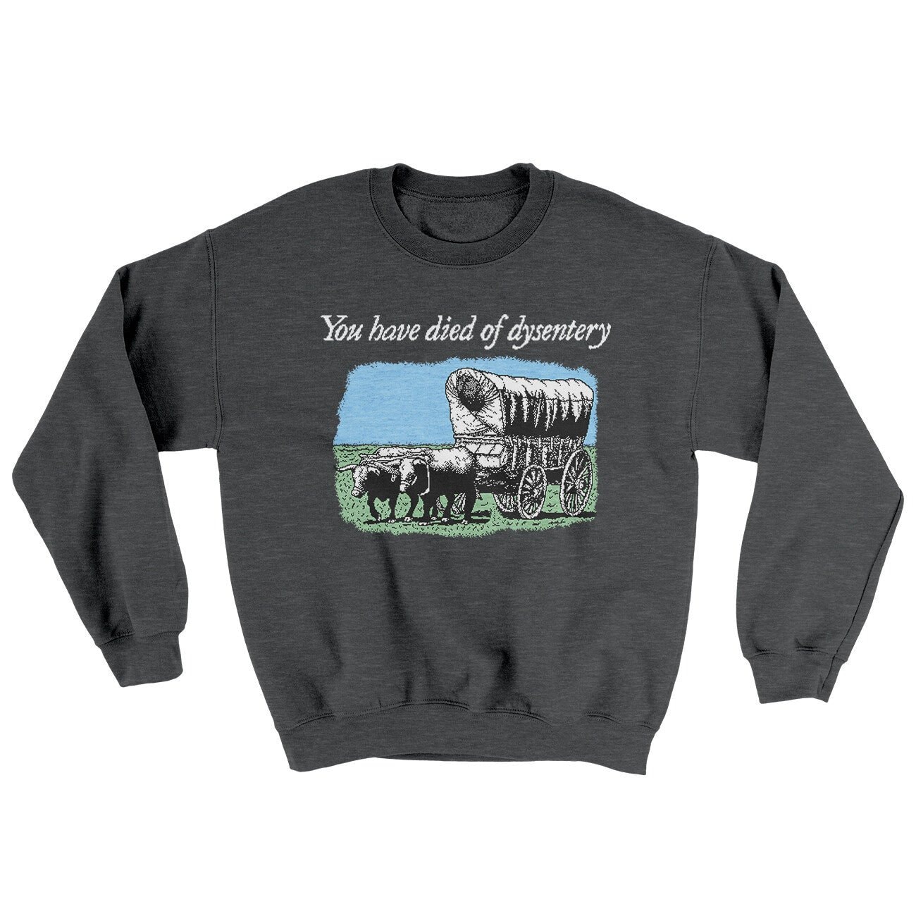 You Have Died Of Dysentery Ugly Sweater