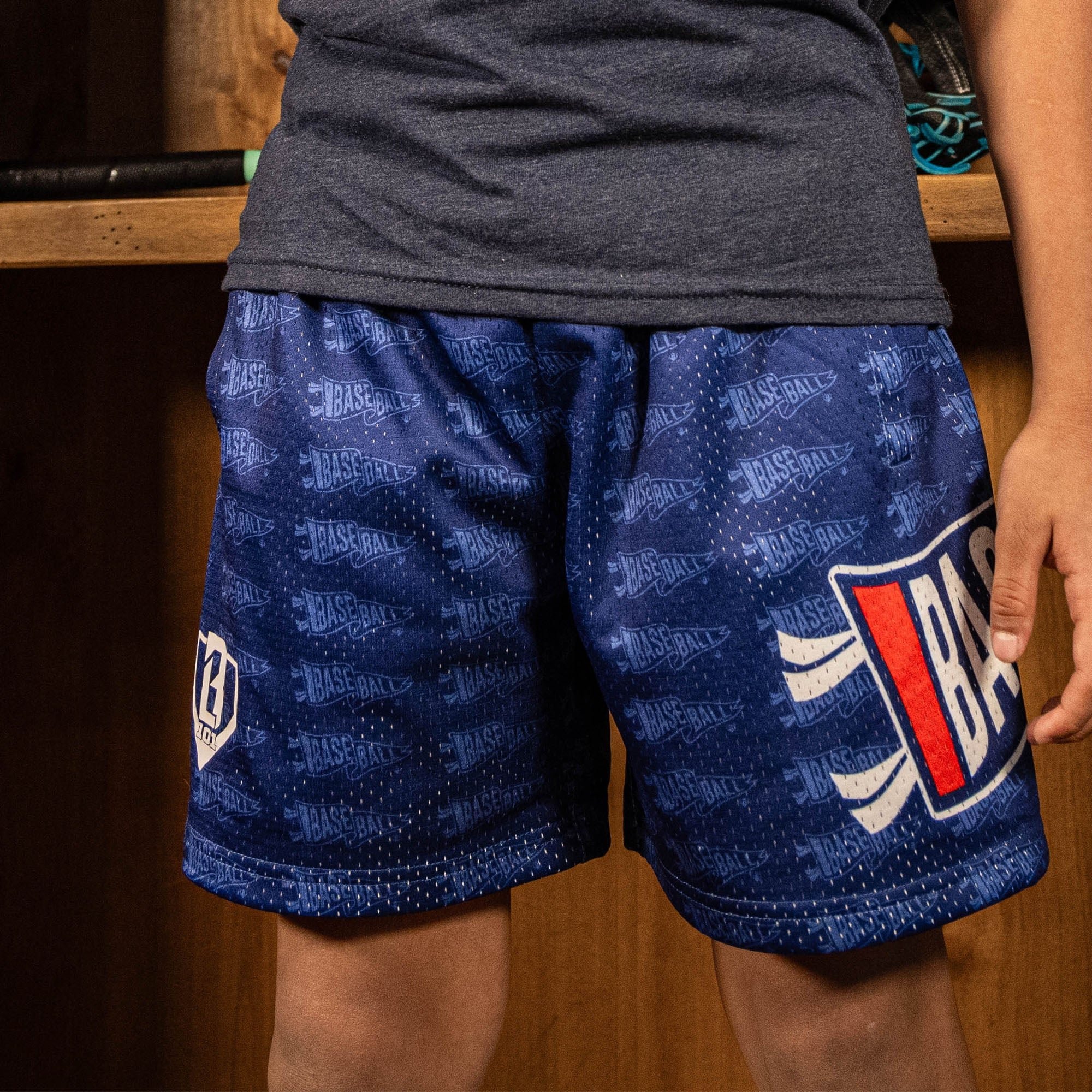 Pennant Shorts - USA