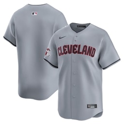 Baseball team Road Limited Men's Jersey - Gray