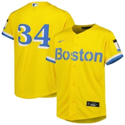 Youth Baseball team David Ortiz Gold City Connect Player Jersey