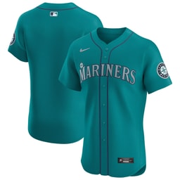 Men's Baseball team Aqua Alternate Vapor Premier Elite Patch Jersey