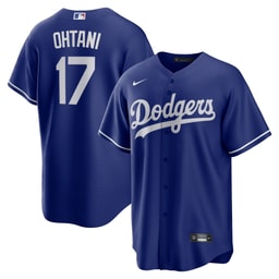 Men's Baseball team Baseball player Royal Alternate Player Jersey