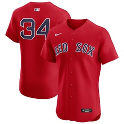 Men's Baseball team David Ortiz Red Alternate Elite Player Jersey