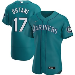 Baseball player 17 Baseball team Men's Alternate Elite Jersey - Aqua