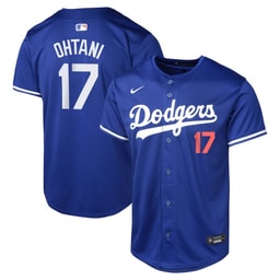 Baseball player 17 Baseball team Alternate Limited Youth Jersey - Royal