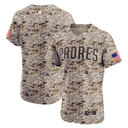 Men's Baseball team Brown Alternate Vapor Premier Elite Patch Jersey