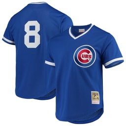 Men's Baseball team Andre Dawson Apparel brand Royal Cooperstown Collection Mesh Batting Practice Jersey
