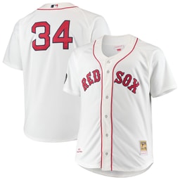 Men's Baseball team David Ortiz Apparel brand White Big & Tall Home Player Jersey